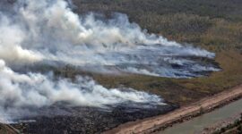 Kebakaran hutan dan lahan (karhutla) masih meraja lela di wilayah Kalimantan Selatan. (Dok. BNPB) 
