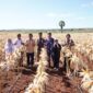 Situasi produksi jagung di beberapa sentra produsen yang saat ini tengah melimpah. (Dok. Tim Komunikasi Bapanas)
