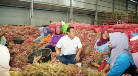 Kepala Badan Pangan Nasional (Bapanas) Arief Prasetyo Adi Meninjau produksi bawang merah  di Brebes, Jawa Tengah. (Dok. Tim Komunikasi Bapanas)