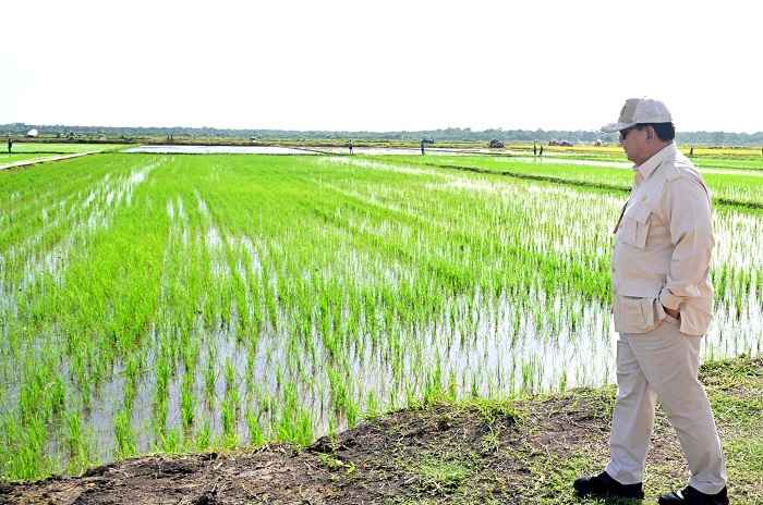 Keberhasilan Presiden Prabowo Subianto dalam membenahi sektor pertanian nasional mendapat apresiasi. (Facebook.com @Setkab RI)
