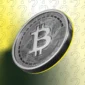 dok ccn.com