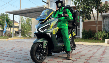 basmi rayap jogja