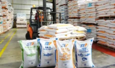 Tabel Pemberian Pakan: Menyesuaikan Dosis dengan Bobot dan Umur Ikan